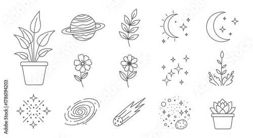 Collection of minimalist botanical and cosmic line art illustrations featuring plants and
