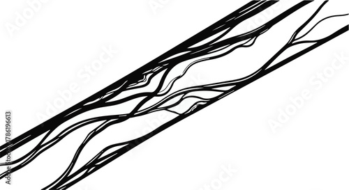 Abstract flowing lines representing organic growth and branching patterns