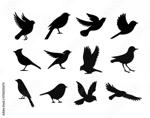 Birds silhouette fly sparrow ...