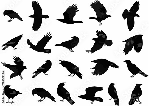 Dark Crow Silhouettes - Flyin...