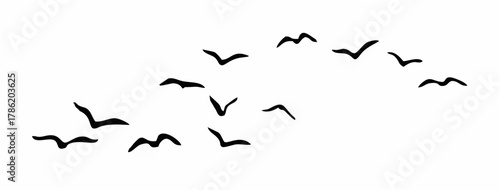 Flying Bird Silhouettes - Flo...