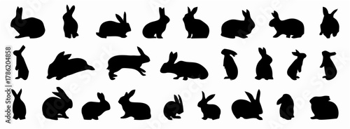Rabbit or bunny silhouette se...