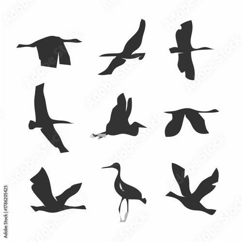 Set silhouettes birds in moti...