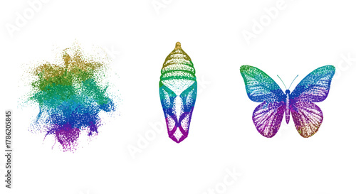 Transformation of butterfly from abstract particles to pupa to winged insect concept isolated on white