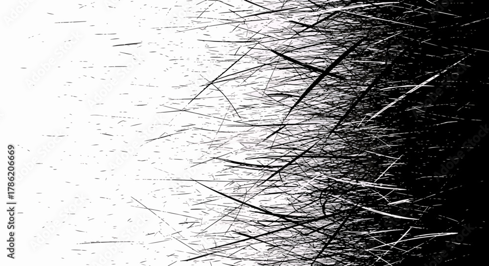 Fototapeta premium Abstract Dynamic Black and White Grunge Brush Strokes Texture Background with Energetic Streaks and Splatter Effects