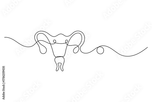 Women's uterus continuous one line drawing of female reproductive system and outline vector illustration