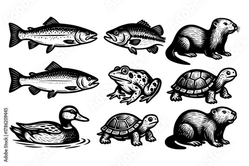 Woodcut style aquatic and semi-aquatic animals collection