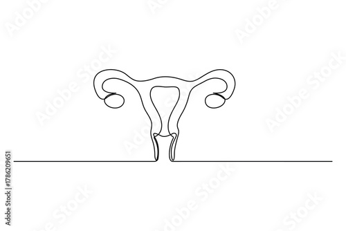 Women's uterus continuous one line drawing of female reproductive system and outline vector illustration