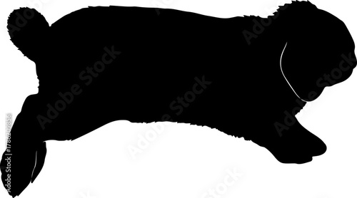 Black silhouette of a rabbit in motion, running across a white background