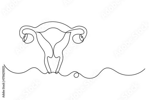 women's uterus continuous one line art of female reproductive minimalism design vector illustration