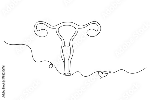 women's uterus continuous one line drawing of outline vector illustration