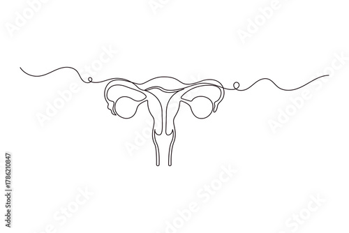 Women uterus continuous one line drawing of fallopian tubes modern style outline vector illustration