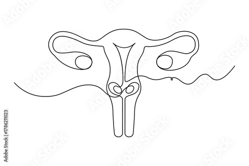 Women uterus continuous one line drawing of fallopian tubes modern style outline vector illustration