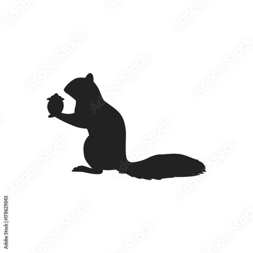 Squirrel Silhouette Vector