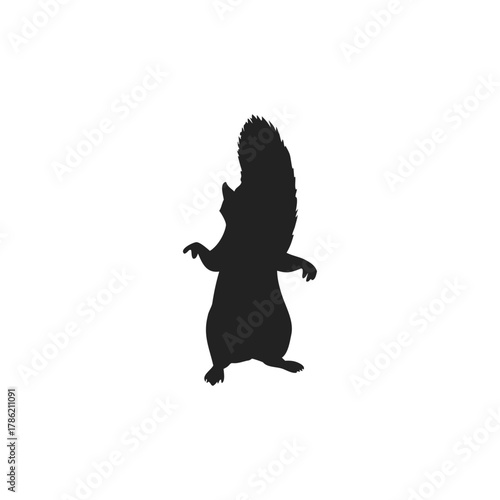 Squirrel Silhouette Vector