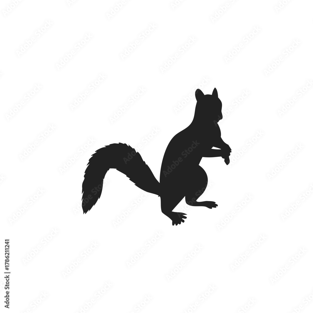 Fototapeta premium Squirrel Silhouette Vector
