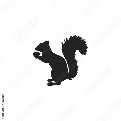 Squirrel Silhouette Vector