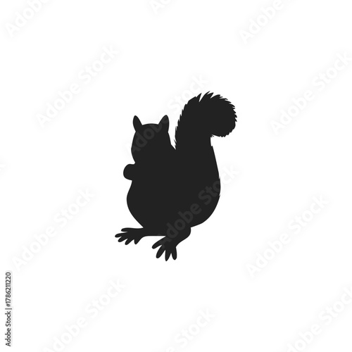 Squirrel Silhouette Vector