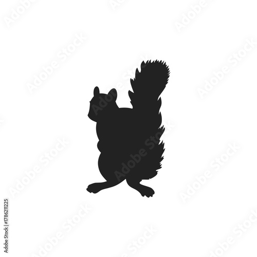 Squirrel Silhouette Vector