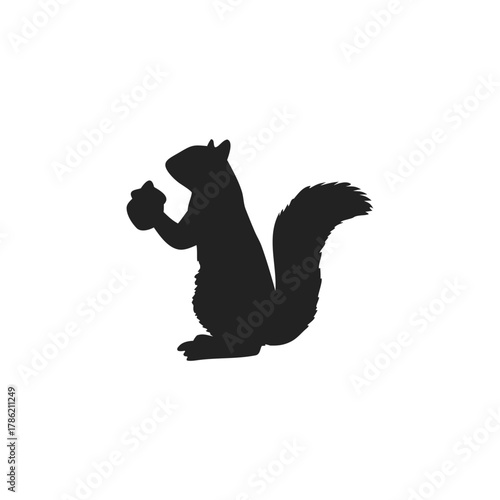 Squirrel Silhouette Vector