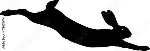 Silhouette of a Leaping Hare Capturing the Grace and Movement of Wildlife