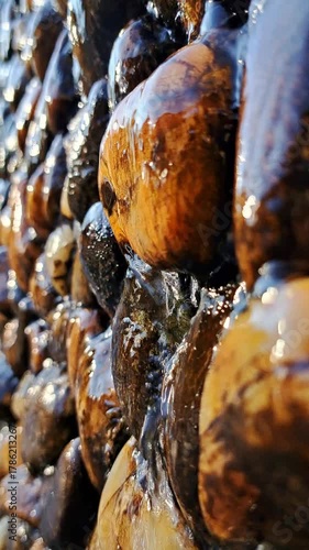 Soothing Water Feature. A tranquil, vertical 9:16 shot of water running over rocks, embodying purity and nature.