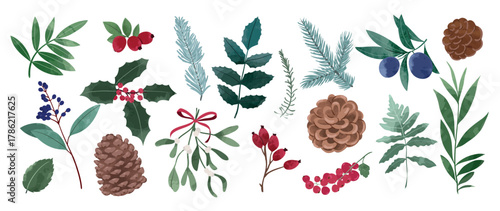 Winter botanical watercolor vector illustration with pinecones, holly leaves, berries, and mistletoe in soft green, blue and red tones. Design for greeting cards, packaging and fabric.