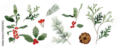 Winter botanical watercolor vector illustration with pinecones, holly leaves, berries, and mistletoe in soft green, blue and red tones. Design for greeting cards, packaging and fabric.