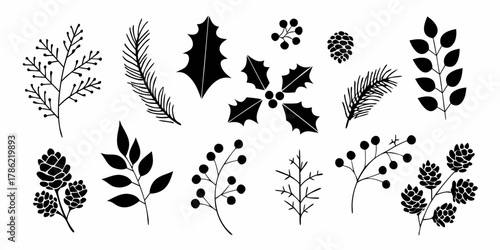 Collection of black silhouette winter botanical elements including holly pine cones and berries