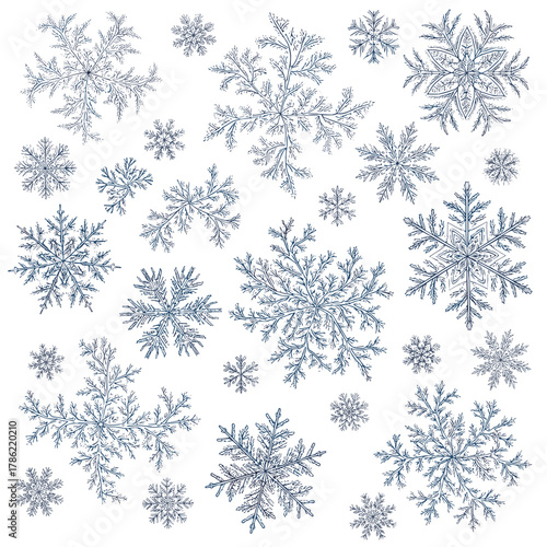 Various blue snowflakes on a white background for Holiday Decorations  