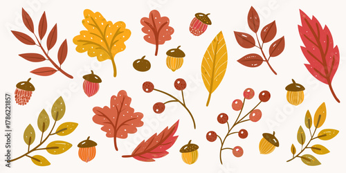 Collection of autumn leaves acorns and berries in warm fall colors on a white background