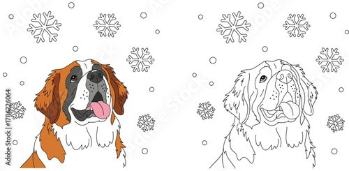 Adorable Saint Bernard Dogs with Snowflakes - Coloring Page and Colored Illustration for Winter Fun and Pet Lovers
