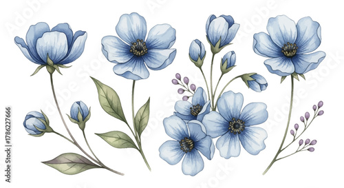 Watercolor floral set with delicate blue flowers and verdant foliage arrangement illustration
