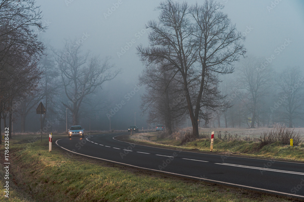 Fototapeta premium Asfaltowa droga w listopadowy poranek. Po obu stronach drogi znajdują się bezlistne drzewa. Nad ziemią unosi się mgla.