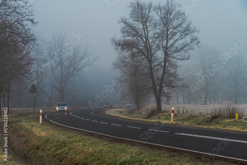 Asfaltowa droga w listopadowy poranek. Po obu stronach drogi znajdują się bezlistne drzewa. Nad ziemią unosi się mgla.