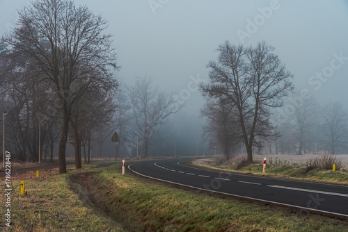 Asfaltowa droga w listopadowy poranek. Po obu stronach drogi znajdują się bezlistne drzewa. Nad ziemią unosi się mgla.