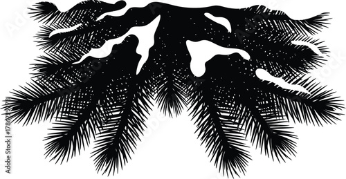 Black and White Silhouette of a Winter Pine Branch with Snow Accumulation Graphic Resource