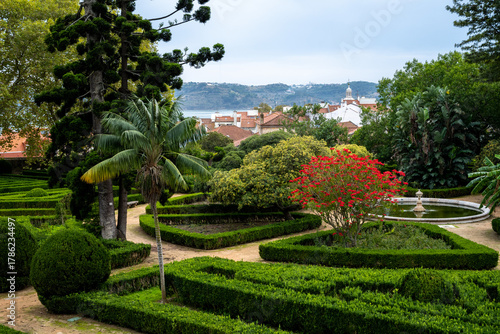 Ajuda Botanical Garden with Blooming Red Tree Lisbon Portugal