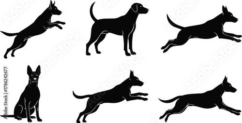 Dog silhouette vector set, various poses, sitting, running, leaping, black animal shapes, pet motion study, canine action illustration