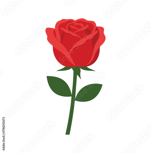 Simple Red Rose Blossom Illustration