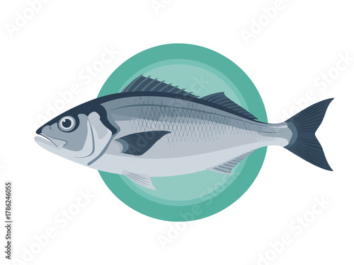 A realistic illustration of a single fish against a teal circle background.