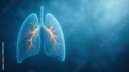 Human Lungs with Bronchial Tree — Medical Illustration