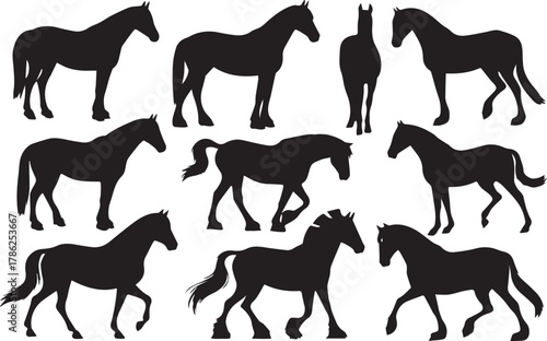Set of silhouette of horses. Isolated in black Illustrator Artwork