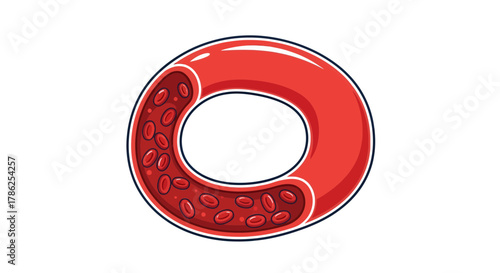 Red Blood Cells Flowing through Artery, Illustrating Cardiovascular Health and Anatomy