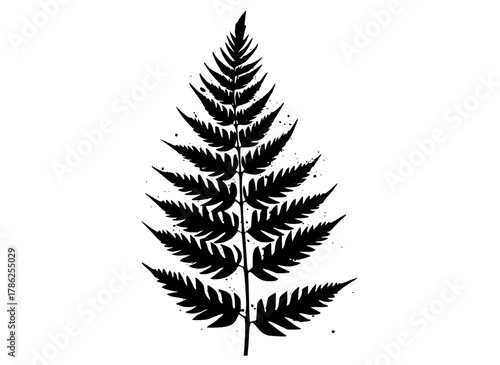 a black and white silhouette of a fern leafblack, fern, illustration, ink, leaf, plant, profile, stem, tattoo, white 