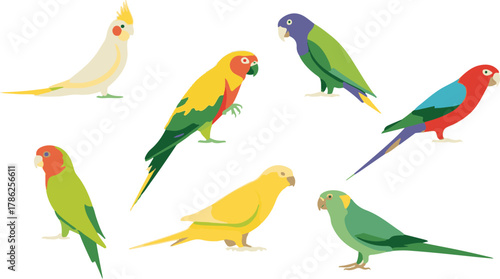 set of birds