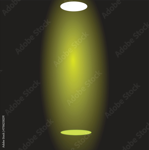 point in the image. Its illumination stands out sharply against the dark background, creating a sense of clarity and brightness.