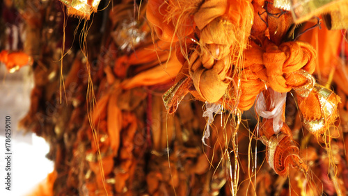 Photos Saffron ribbons tied by devotees to trees as a sign of faith at temples in Gokul