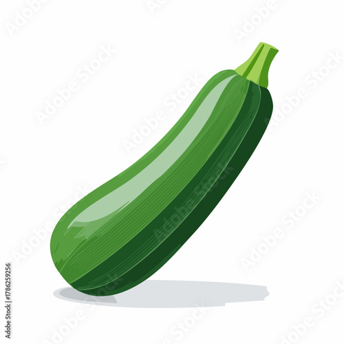 A single zucchini with deep green skin and a smooth, elongated shape resting off-center.