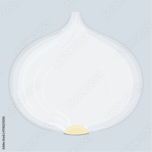 A shining white onion with concentric rings and a slightly glowing surface under soft light.